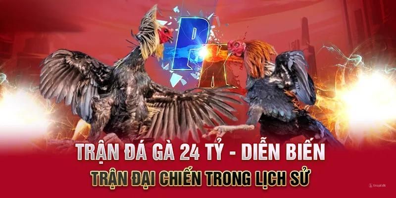 Trận Đá Gà 24 Tỷ: Đại Chiến Đỉnh Cao Giữa 2 Huyền Thoại Diễn biến kịch tính của trận đá gà 24 tỷ