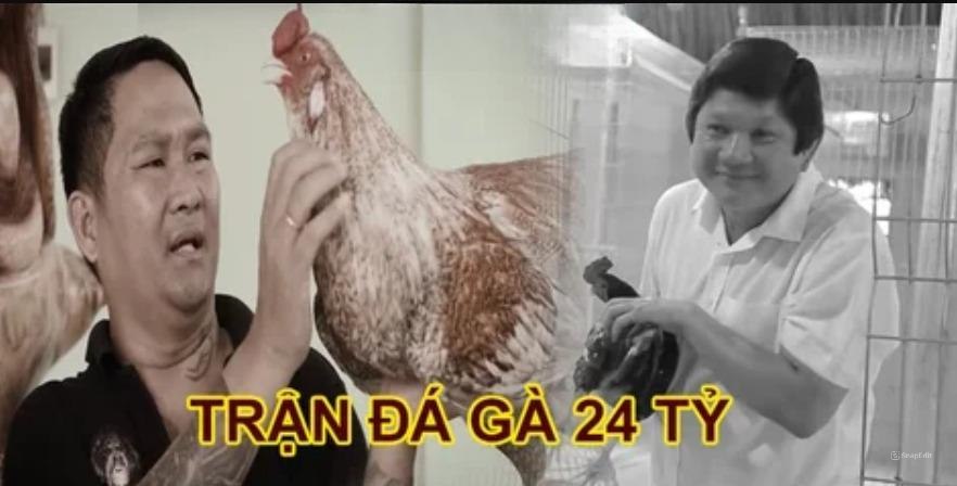 Trận Đá Gà 24 Tỷ: Đại Chiến Đỉnh Cao Giữa 2 Huyền Thoại Trận đá gà 24 tỷ cuộc tranh tài giữa 2 sư kê hàng đầu