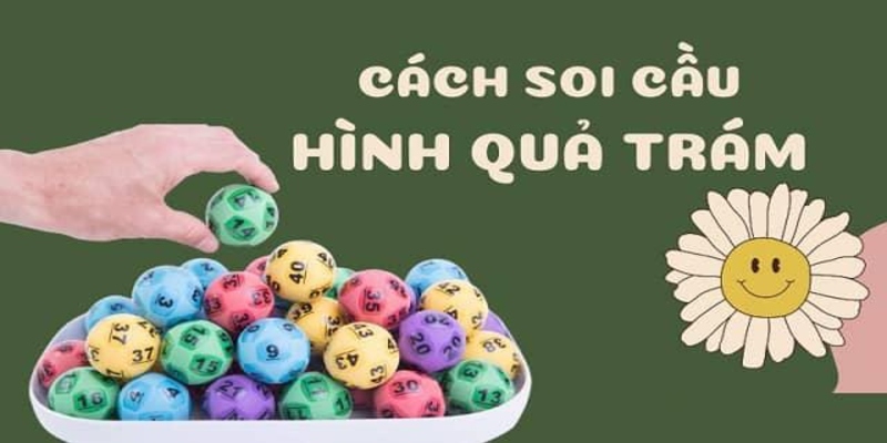 Soi Cầu Quả Trám: Bí Kíp Thắng Lớn Từ Cao Thủ 23Win Tổng quan về soi cầu quả trám
