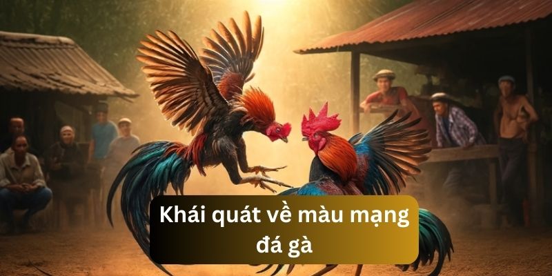 Màu Mạng Đá Gà: Bí Kíp Xem Chuẩn, Thắng Lớn Mọi Kèo Giới thiệu cơ bản về màu mạng đá gà